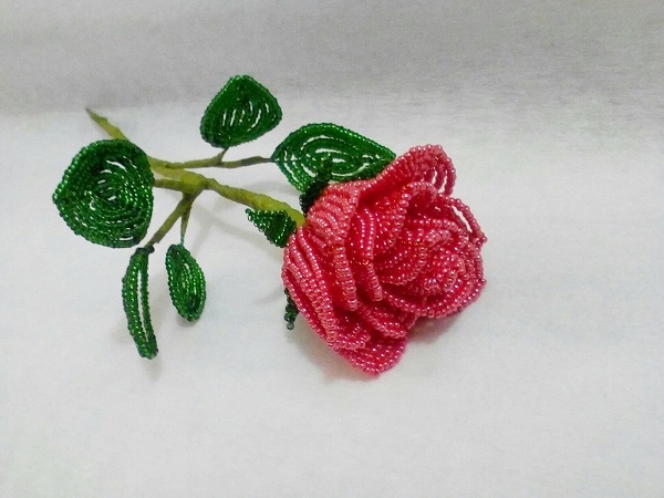 59355236_1982996538477895_590855751807795200_n_Jarka Havelková_2